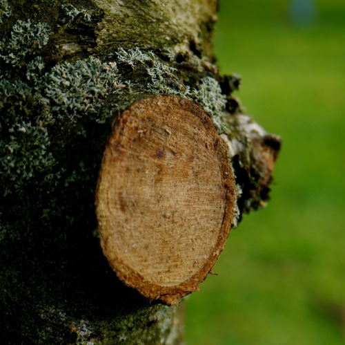Sa 10.10. | 14 – 17 UhrWorkshop »terra preta«